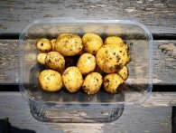 Sådan dyrker du kartofler