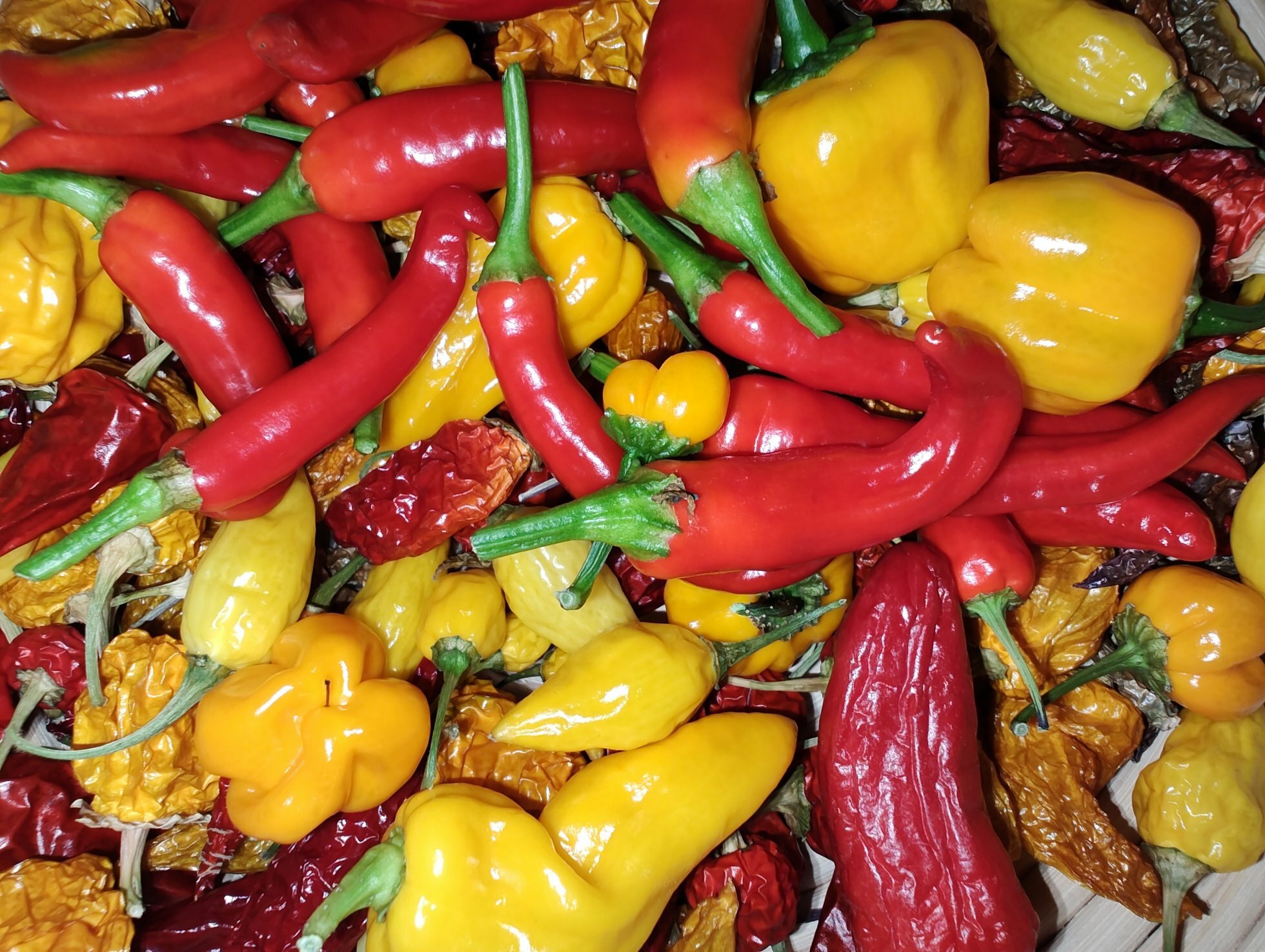 chokerende Forbigående Sanktion Guide: Sådan dyrker du saftige chili i din vindueskarm - Mandekogebogen