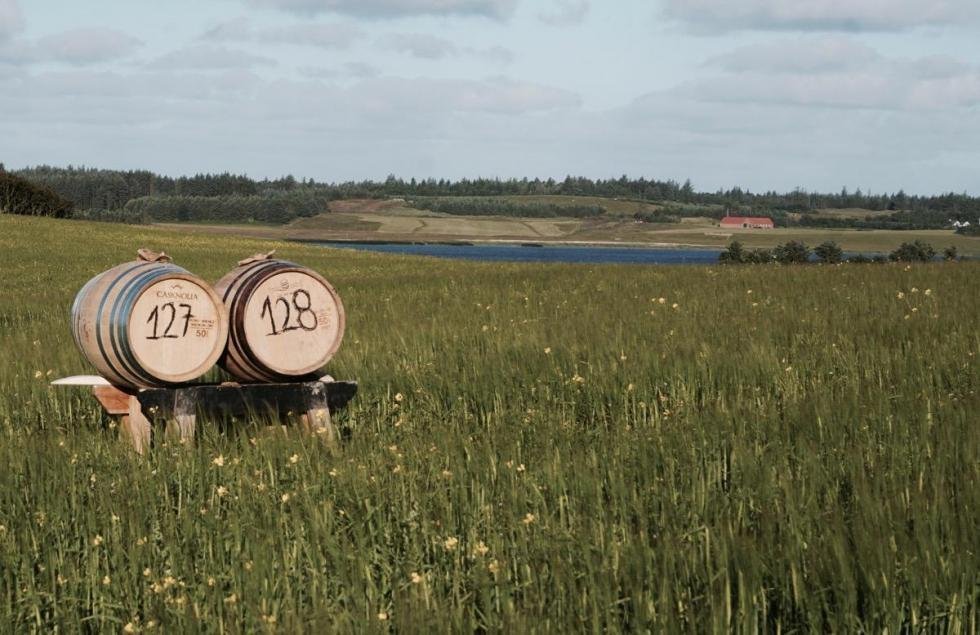 Thy Whisky: Dansk single malt på økologiske, lokale råvarer