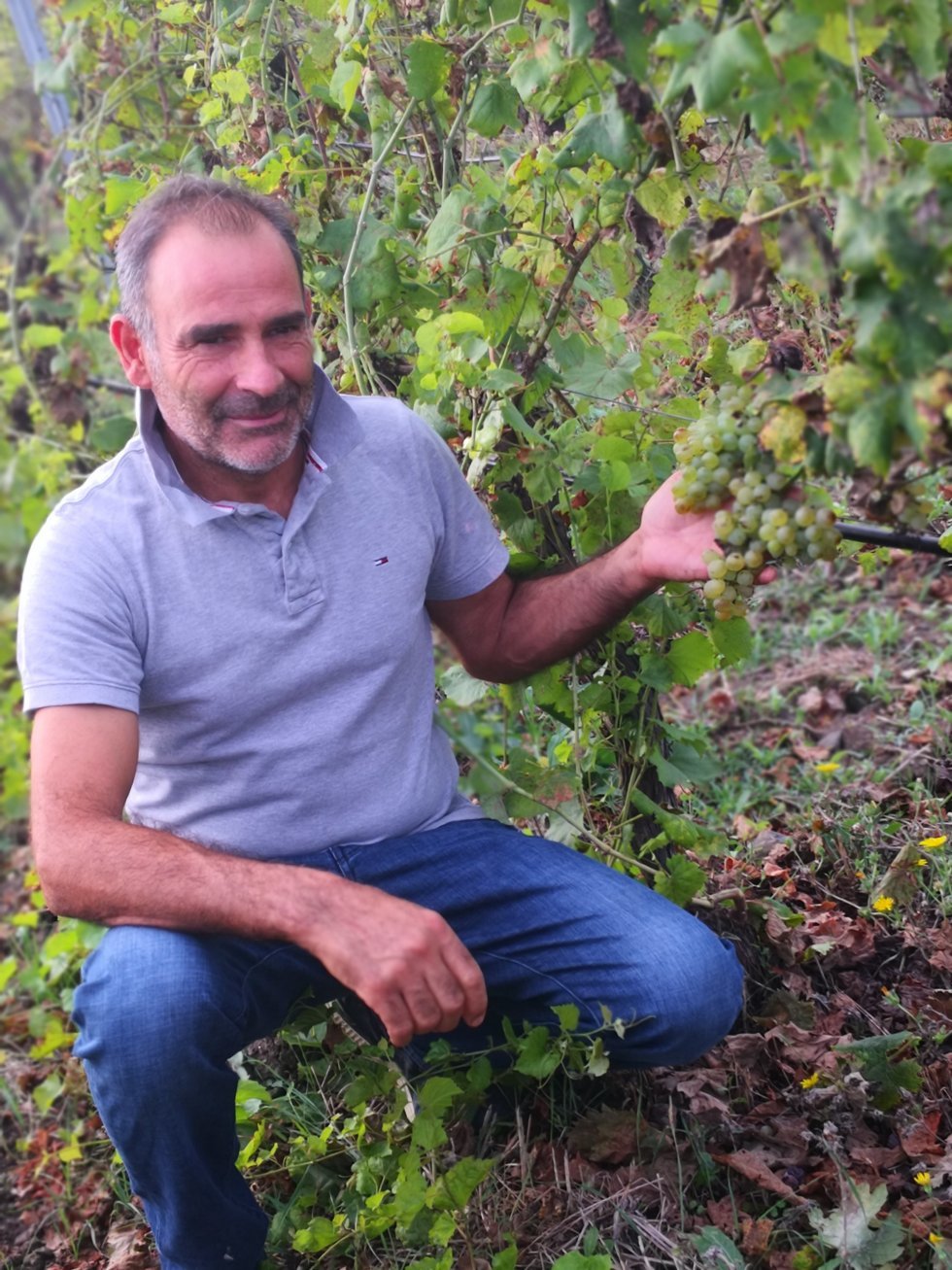 Michele Cuscusa på vinmarkerne. - Fra hjemmebrygget vin til løg-is: en kulinarisk rejse gennem Sardinien