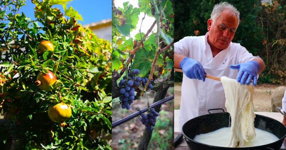 Fra hjemmebrygget vin til løg-is: en kulinarisk rejse gennem Sardinien