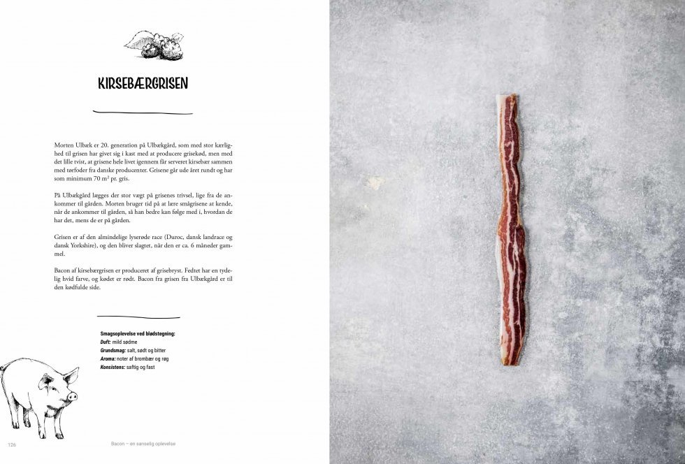 Den ultimative bog om bacon