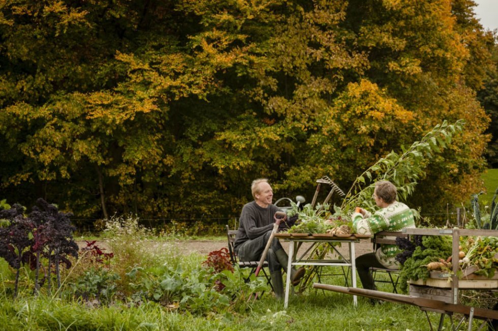 Aarstiderne lancerer fælleshave-projekt til dig med grønne fingre i den urbane jungle 