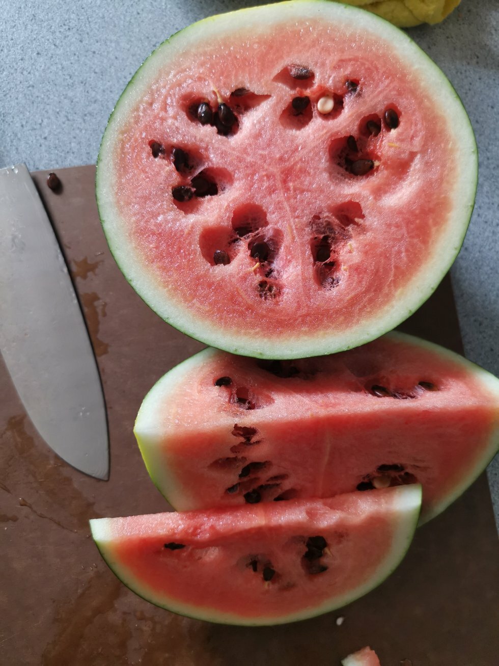 Succes! - Sådan dyrker du vandmeloner i Danmark