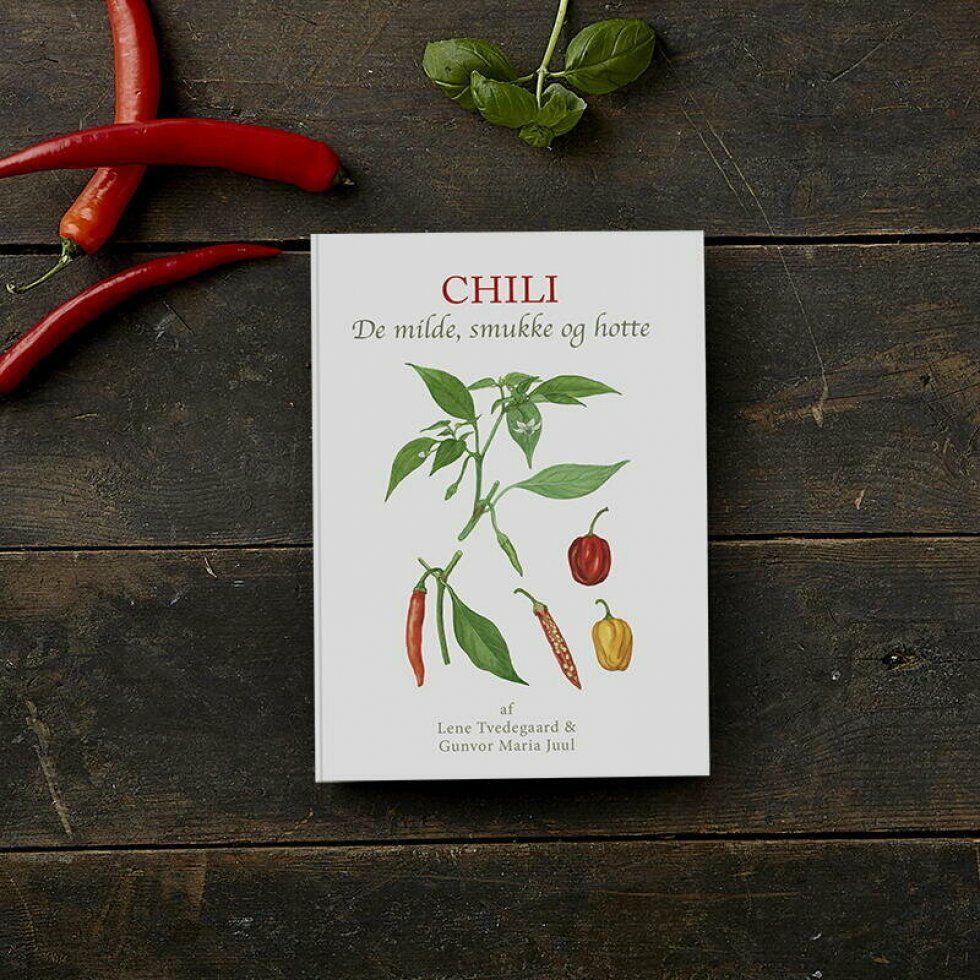 Minimalistisk, men ambitiøs madbog dykker ned i alt du bør vide om chili