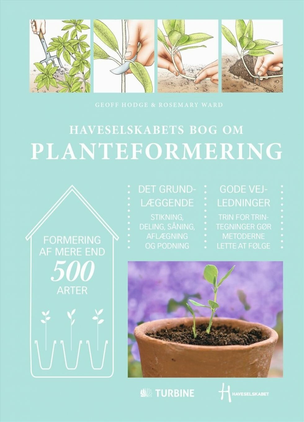 Haveselskabet har lanceret haveelskerens ultimative guide til planteformering