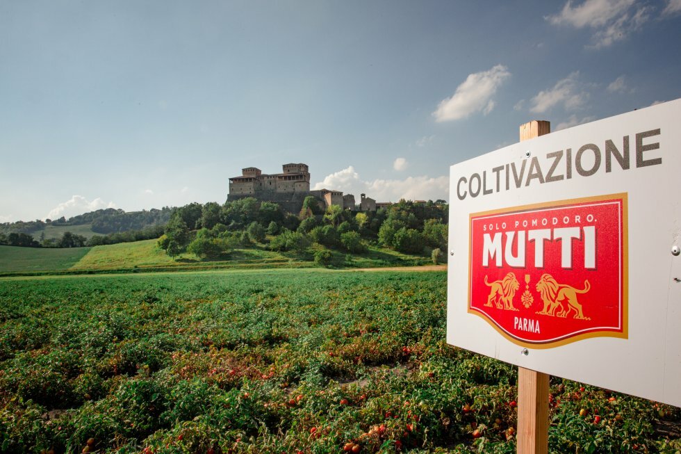 Italienske Mutti går i krig mod pesticider og belønner initiativrige tomatavlere