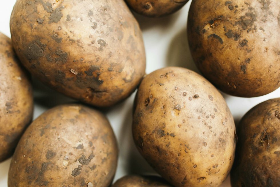 Disse kartofler giver perfekte pomfritter