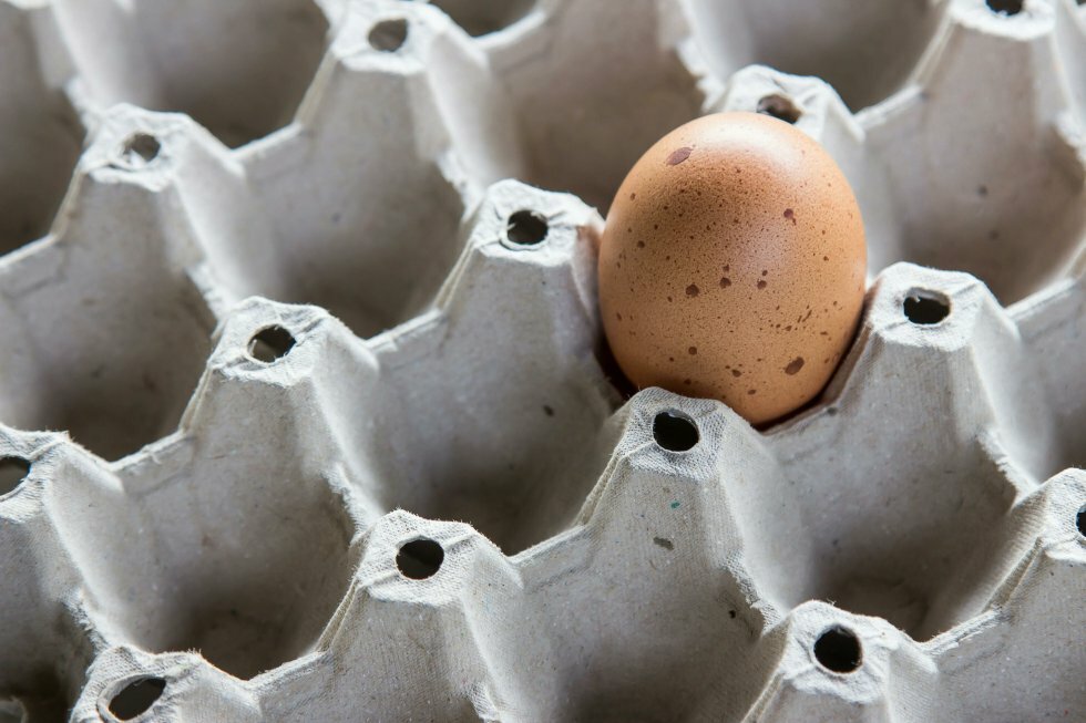 10 smarte metoder til at tjekke ingrediensers holdbarhed i dit køkken