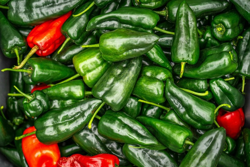 Det siger chiliens farve om styrken - regler og undtagelser
