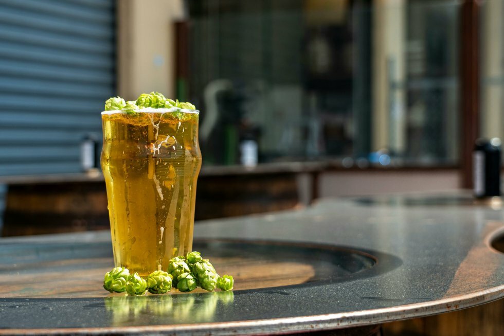 Wet vs. Dry Hopping: Hvordan påvirker det din India Pale Ale?