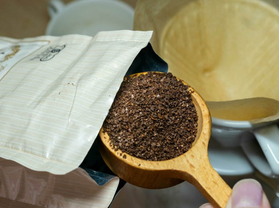 Kopi Luwak: Den (alt for) dyre kop kaffe, der kommer ud af bagdelen på et dyr