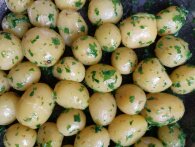 Kogetid på kartofler: både nye kartofler, gamle og til kartoffelmos