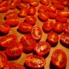 Halverede cherrytomater med olivenolie og salt på vej i ovnen.  - Semidried tomater i ovn