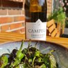 Padrons med Campelo Adamado - 3 sommeropskrifter parret med portugisiske vine fra Vinho Verde