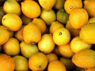 Derfor skal du aldrig opbevare citrusfrugter ved stuetemperatur