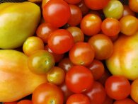 10 tomatsorter, du skal prøve i dit drivhus
