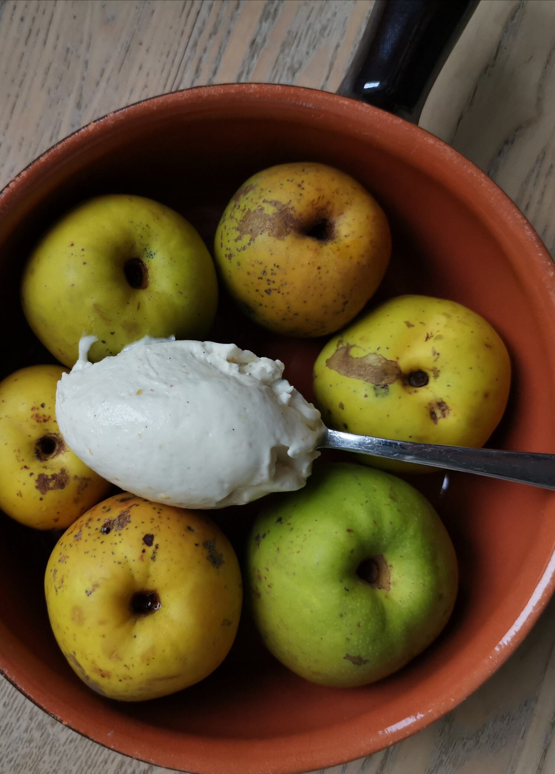 Kvædesorbet. 