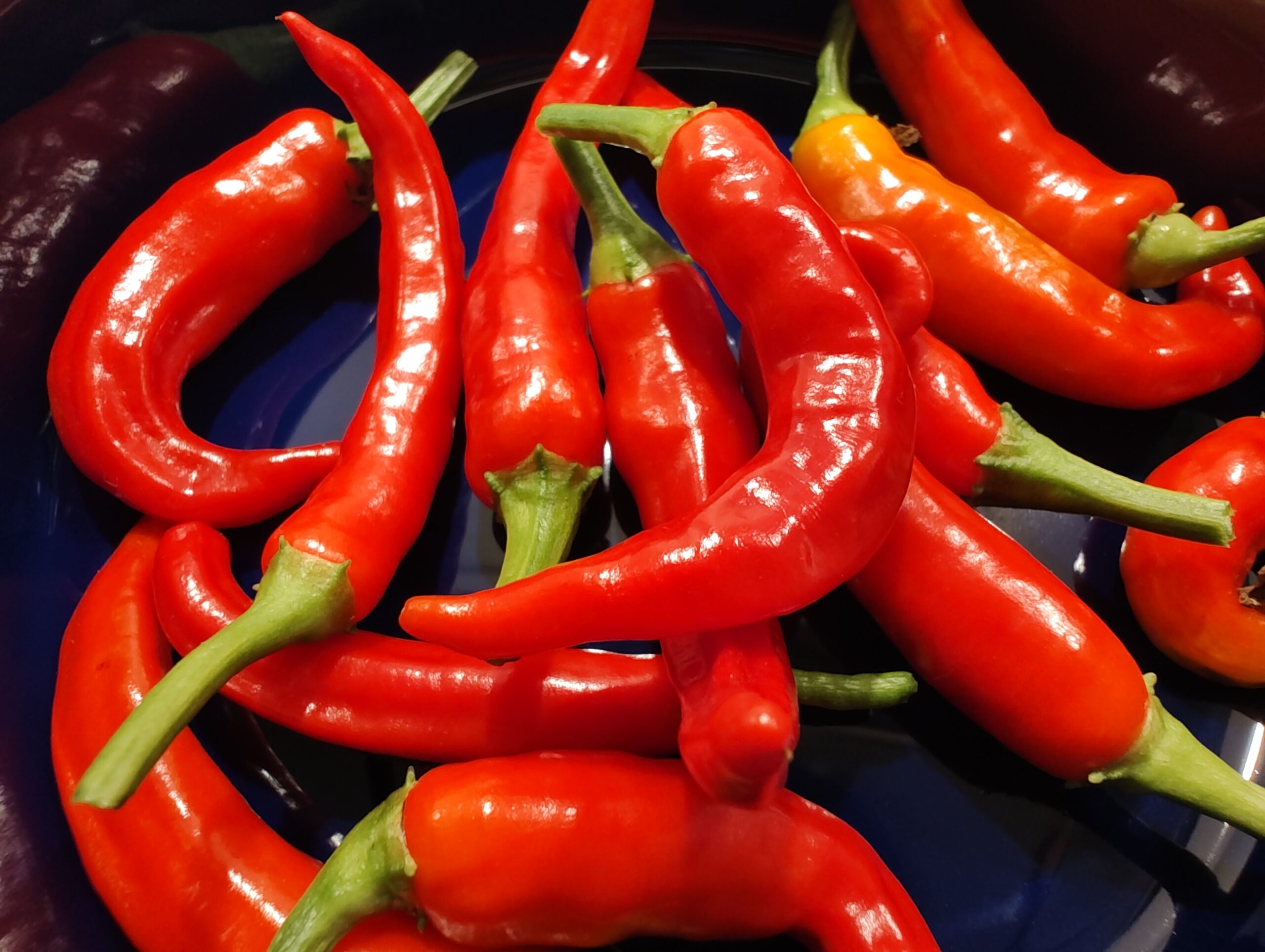 Cayenne