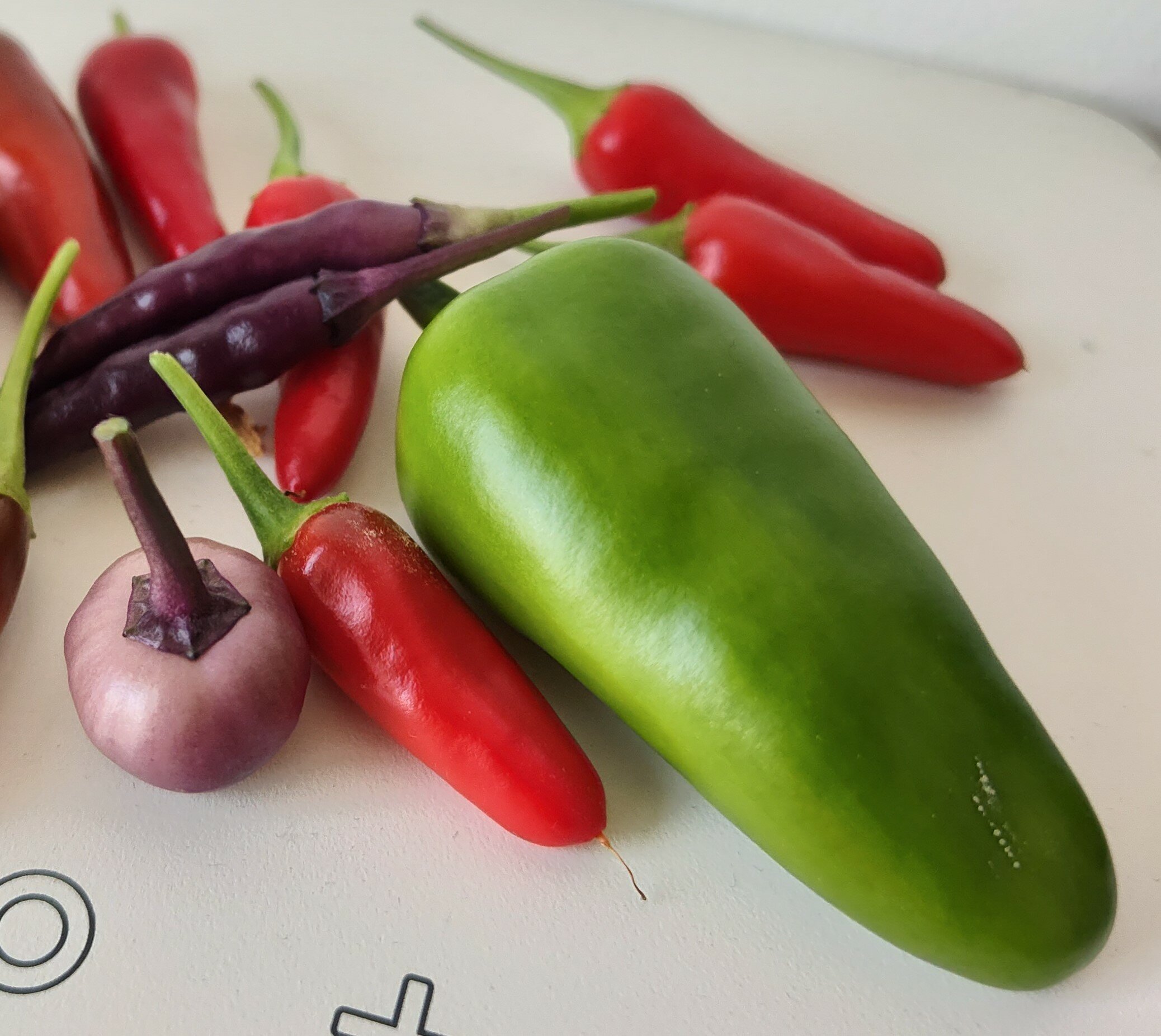 Den grønne sag her er en Early Jalapeno