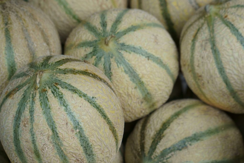 Sådan spotter du en moden cantaloupe