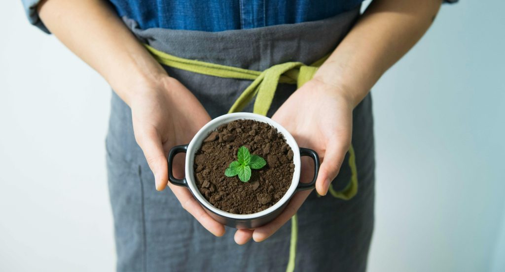 Disse to planter holder hvepse væk fra dit havebord