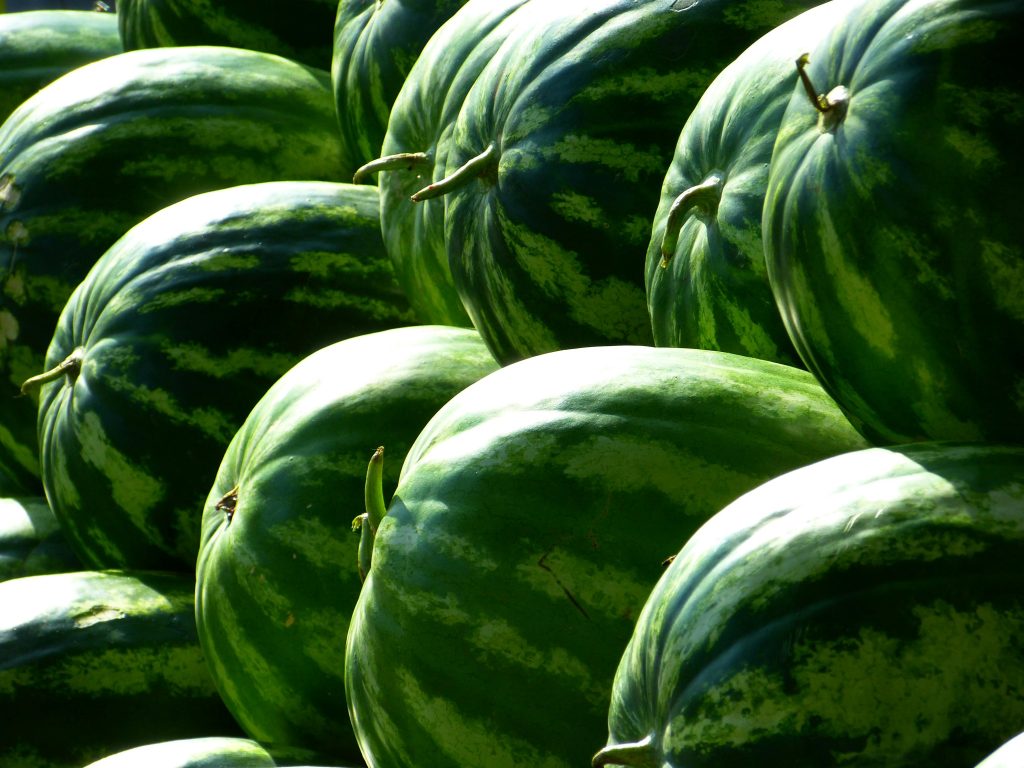 6 ting du skal kigge efter i skallen, hvis du vil have den perfekte vandmelon