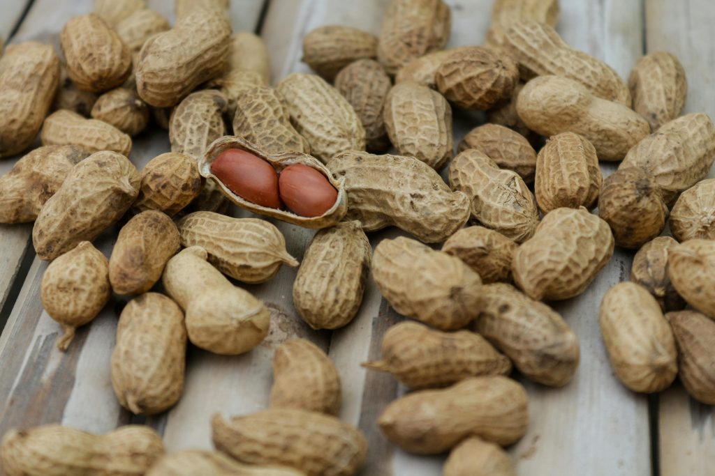 Peanuts: Den skjulte proteinbombe i snackskålen