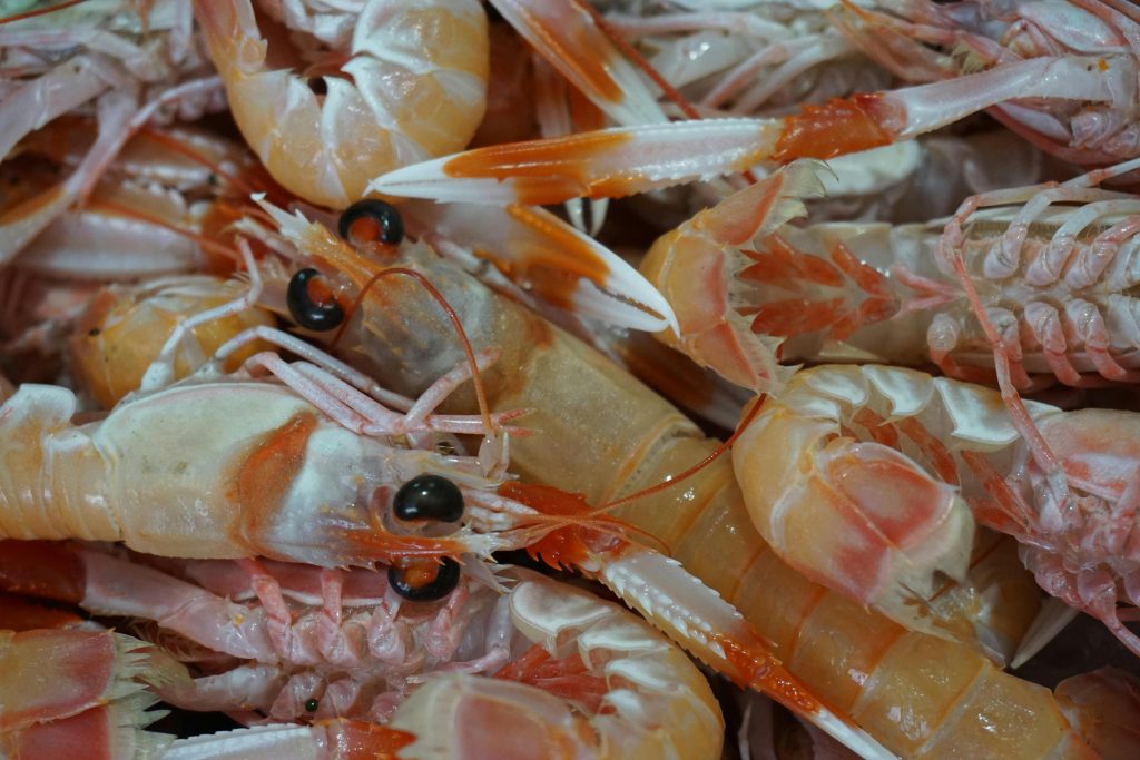 Så længe skal en jomfruhummerhale tilberedes med sous vide