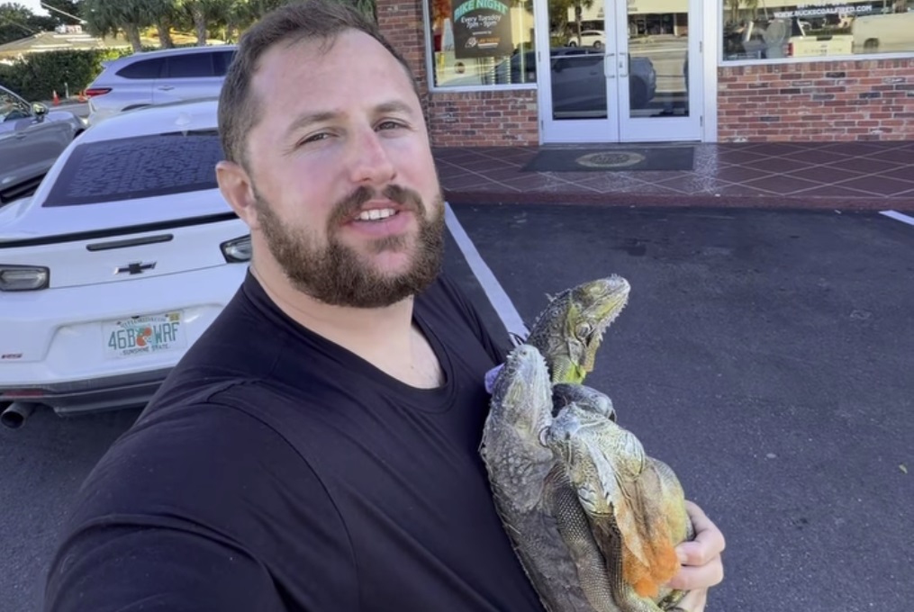 Frosne leguaner i Florida ender som pizza-topping hos lokal pizzarestaurant