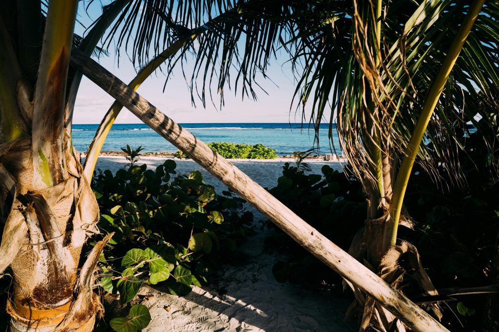 8 retter, du skal prøve fra Bahamas