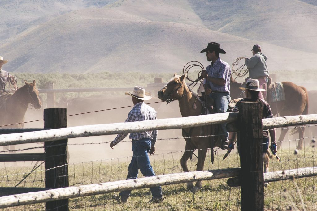 Glem whiskeyen: Cowboyernes foretrukne drik var faktisk noget helt andet