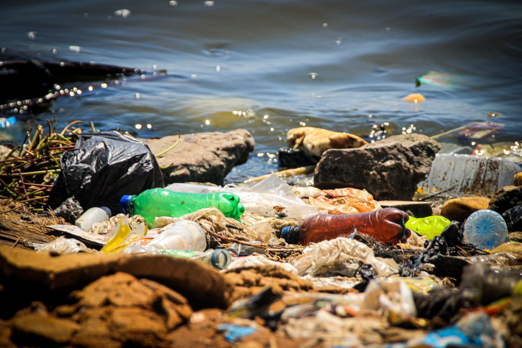 Forskere har lavet en småkage af plastikaffald – og folk synes faktisk, den smager okay